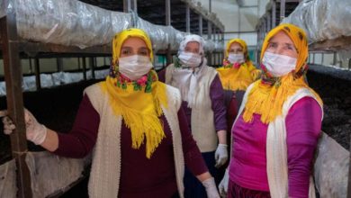صورة ولاية تركية تعلن توفير وظائف للنساء براتب شهري قدره 40 ألف ليرة