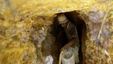 صورة لأول مرة دولة عربية تكشف تفاصيل كنز الذهب الذي يعد من الأكبر في العالم ويدر لها ملايين الدولارات