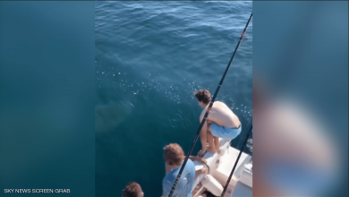 صورة مشهد يحبس الأنفاس لشابين يقفزان على ظهر سمكة قرش (فيديو)