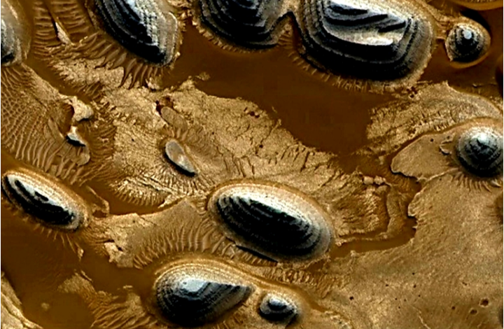 صورة أرض العرب على المريخ.. العلماء يزيلون الستار عن اكتشاف كبير وفريد من نوعه