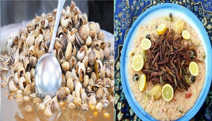 صورة من بينها حساء الحلزون وكبسة الجراد.. تعرف على أغرب الأكلات الشعبية التي تتواجد في هذه الدول العربية