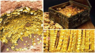 صورة لن تصدقوا ماحدث..رجل يعثر على كنز من الذهب التاريخي باستخدام جهاز كشف المعادن
