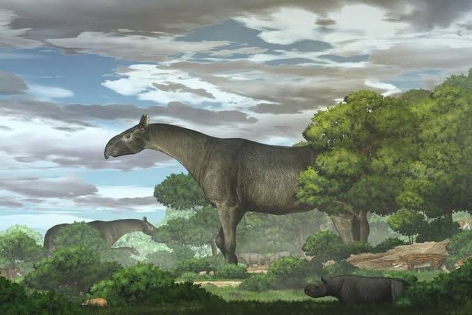 صورة يعيش الى يومنا هذا.. أكبر حيوان في العالم يأكل 16 طناً يومياً وحجمه أكبر من الديناصورات الضخمة