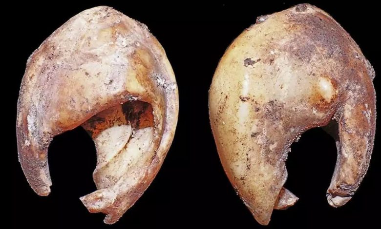 صورة أقدم إنسان وأول عملية جراحية.. تعرف 5 اكتشافات بالمغرب تُؤرخ لأصل البشرية.. صور
