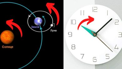 صورة تدور الكواكب كلها والحجيج عكس عقارب الساعة ..فلماذا تدور عقارب الساعة من اليمين الى اليسار ولا تدور معهم؟