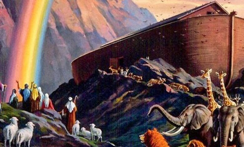 صورة ما هو الحـ.ـيوان الوحيد الذي لم يصعد سفينة نوح وبقي في الطـ.ـوفان بين الماء وأنجـ.ـاه الله تعالى “فيديو”