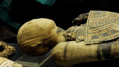 وصول مصر إلى مومياء ذهبية عمرها 4500 سنة